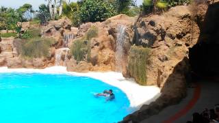 Delfinario - Loro Parque, Tenerife