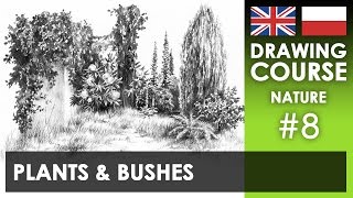 Drawing tutorial - Plants & bushes | Kurs rysunku - Małe rośliny i krzaki [S02E08 ENG/PL]