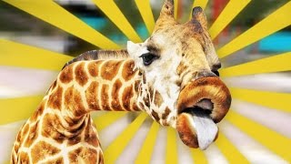 GIRAFFE SIMULATOR