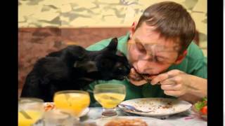скачать приколы про людей