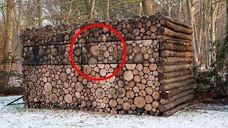Соседи думали, что у него во дворе много бревен, но это не то, чем кажется на первый взгляд
