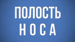 Полость носа