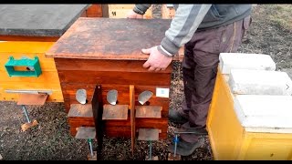 4. Вулик для запасних маток | Улей для запасных маток