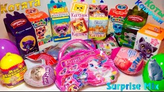 МЕГА-выпуск СЮРПРИЗЫ Игрушки - Котята, Кошечки, Коты - LPS ЛПС, Kitty Club, СВИТ БОКС.. Kitties TOYS
