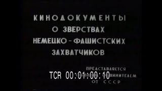 Нюрнберг. Последний киносеанс