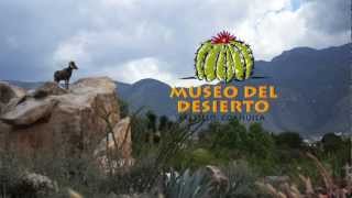 #VeLoQueYoVeo "MUSEO DEL DESIERTO SALTILLO COAHUILA 2012"