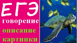 ЕГЭ 2017 по немецкому, устная часть (описание картинки)