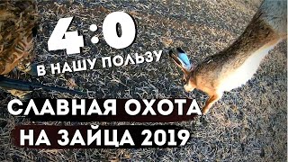 Охота на зайца в Краснодарском крае 2019\\Охота на зайца осенью\\Охота на Кубани 2019 18+
