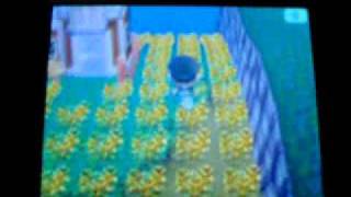 どうぶつの森　村荒らし！！