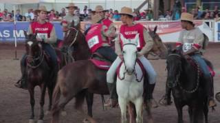 SINA MEAÍPE nacional 2016