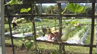 Agriculture Experiment Doi Ang Khang, Thailand by Asiatravel.com