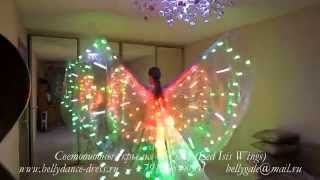 Светодиодные крылья для светодиодного шоу ( Led Isis Wings)