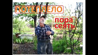 Пришло время посева теплолюбивых культур