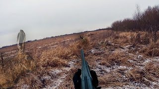 ОХОТА НА ХИТРЫХ ЗАЙЦЕВ по первому снегу. Охота на зайца зимой 2019-2020