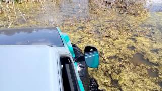 Вездеход болотоход медведь едет по болоту
