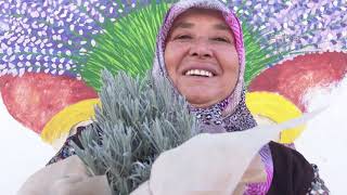 İZMİR BÜYÜKŞEHİR BELEDİYESİ'NDEN LAVANTA FİDESİ