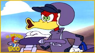 El Pajaro Loco en Español | Carrera de Motocross | Dibujos Animados | Caricaturas para Niños