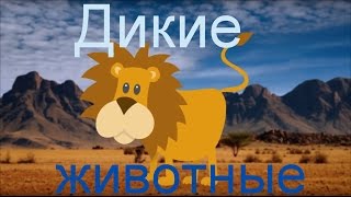 Дикие животные. Развивающий мультфильм для детей.
