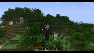 Minecraft выживание с модами (Рай и т.д)