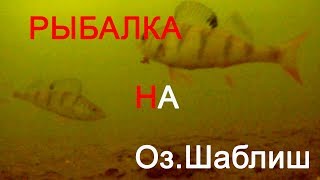 Озеро Шаблиш. Зимняя рыбалка с ночевой 2019 г, Клев не очень