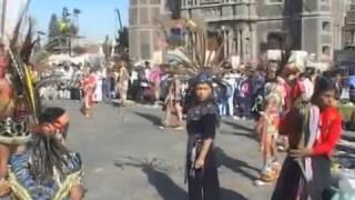 Мексика, грибы