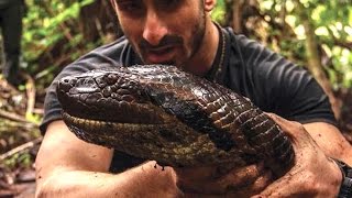 Man Gets EATEN ALIVE By Anaconda? | What's Trending Now