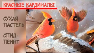 ПТИЦЫ сухой ПАСТЕЛЬЮ.СПИДПЕИНТ/Быстрый рисунок.Как рисовать/BIRDS DRY PASTEL.How to draw.