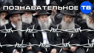 Как готовят раввинат (Познавательное ТВ, Артём Войтенков)