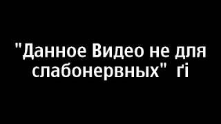 Профессионально зарезали свинью