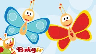 Butterfly - Animal Sounds and Names for Kids & Toddlers | BabyTV