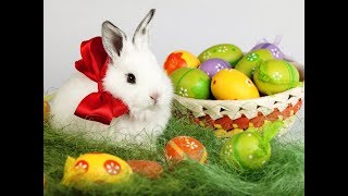 Красивое поздравление с  Пасхой!  Со светлым праздником вас, люди!