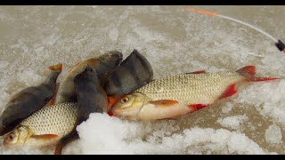 Ловля окуня на мормышку.