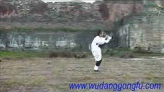 WuDang Kung Fu--8 Immortal Sword