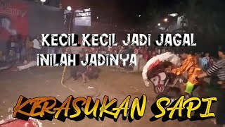 SAKRALLL!!!! NDADINE PRAJURIT KEMBAR 6 LIVE SEBALUH PANDESARI PUJON