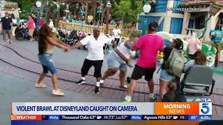 Viral Video Shows Fight at Disneyland