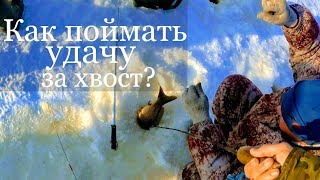 Рыбалка 2019. Удочки трещат! Сазан зимой ловля. Карп зимой.