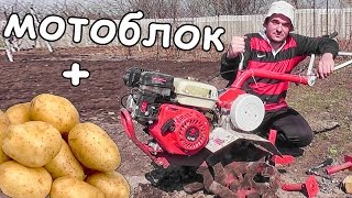 ПОСАДКА КАРТОФЕЛЯ под МОТОБЛОК на СВОЕМ УЧАСТКЕ / ПЕРЕДЕЛКА НАВЕСНОГО  и ПРОЦЕСС ПОСАДКИ