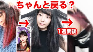 【検証】『1週間だけ黒染めできる』カラー剤を使っても赤髪は元に戻る？【さらばインナーカラー】