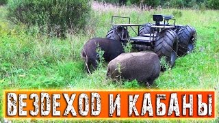 ВЕЗДЕХОД И КАБАНЫ