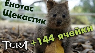 TERA online (RU) - Питомец со складом (енотас, щекастик)