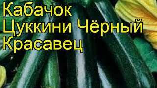 Кабачок цуккини Чёрный Красавец. Краткий обзор, описание характеристик cucurbita pepo