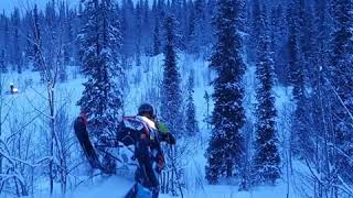 Алакуртти декабрь 2019