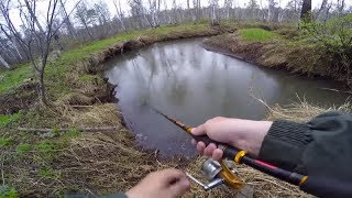 Ловля щуки на малых реках весной | Весенняя рыбалка на живописной лесной речке