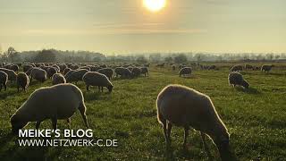 Vlog 218- Empfang Segen und sei Segen im 2020