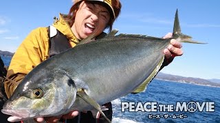 PEACE THE MOVIE #16「伊豆で寒グレ釣り！あわよくばシマアジ！」フカセ釣り・伊豆半島沖横根の旅(後編)/平和卓也(679)