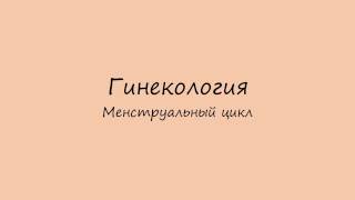 Гинекология. Менструальный цикл.