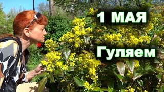 Прогулка 1 Мая по Бердянску