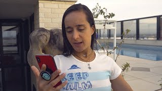 Como enviar vídeos longos pelo WhatsApp - iPhone