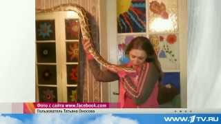 Змея убила свою хозяйку!!! Неожиданные факты о Питонах