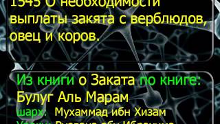 1545 О необходимости выплаты закята с верблюдов, овец и коров